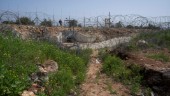 Palestinier dödad efter attack – oroligt i området