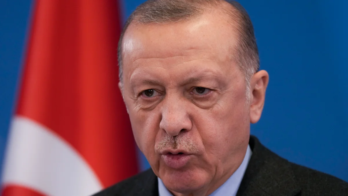 Erdogan Ska Sm rja Relationen Till Saudiarabien SN