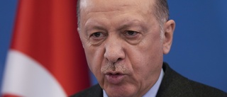 Erdogan nobbar Sverige och Finland: "Som ett gästhem för terrororganisationer" 