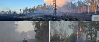 LIVE: Brandmän bekämpar brand i Häradshammar ✔"En jädrans vind med kastvindar som hela tiden vänder" ✔Plan vattenbombar