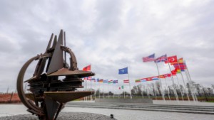 "Natoanhängarnas enda sakliga skäl till brådska är att om vi dröjer med ett ja-beslut så finns sen inget skäl att skynda på"