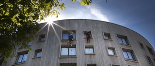 Här klättrar de på fasaden på kända huset i Linköping • "Många som har stannat upp och tittat"