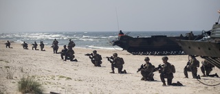 Sveriges försvarssamarbeten i väntan på Nato