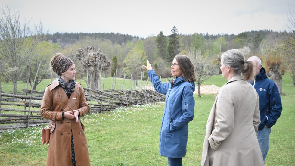 Det var den lokala Miljöpartietavdelningen som föreslagit ett besök på Hallstad ängar. På bilden syns, förutom Amanda Lind, även de lokala miljöpartistera Margareta Holm och Therse Görling.
