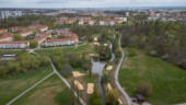 Linköpings jätteprojekt snart klart: "Slutmål att ha jätteekar som kan stå i flera hundra år"