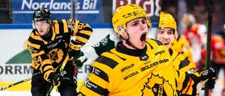 Stjärnbacken och succéförvärvet prisas – Årets back och rookie på SHL-gala: ”Finns ännu mer att ge”