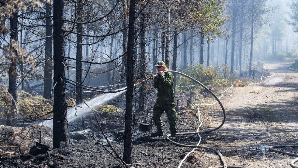 "I samma stund som de svenska skogarna brinner ned till grunden borde lågan tändas i våra hjärtan" skriver insändarskribenterna. Arkivfoto