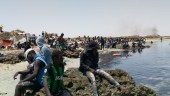 Migranter räddade i tunisisk öken