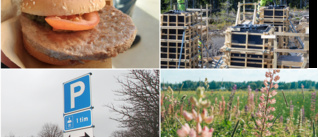 Restaurang och naturvård – här är Eskilstunas nystartade företag