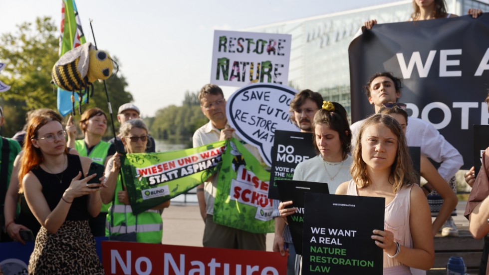 Unga klimataktivister från hela Europa, inklusive svenska Greta Thunberg till höger, utanför EU-parlamentet i Strasbourg.