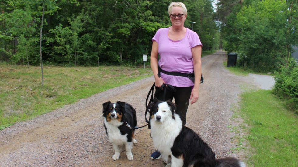 Maritha Paus och hundarna Puma och Posh bor precis intill det område som Sveaskog ska avverka skog på.