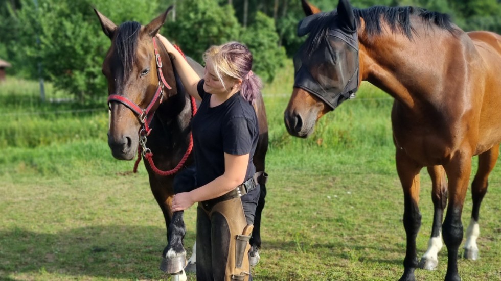 Carolina Dahl har haft eget företag i drygt 1,5 år. "Jag utbildade mig till hovslagare för att jag tycker att det är väldigt roligt att jobba med hästar. Sedan är det alltid kul att stå och prata häst med likasinnade också", berättar hon.