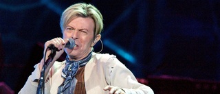 Bowie rycker inte tag