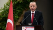 Källor: Turkiet kräver fler utvisningar av Sverige