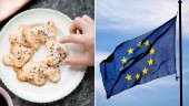Sverige kan inte plocka russinet ur EU-kakan