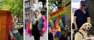 Färgsprakande folkfest i rekordstor Prideparad