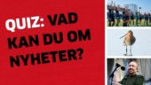 Testa dina kunskaper och tävla om trisslotter