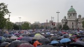 Nya protester mot Serbiens regering