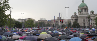 Nya protester mot Serbiens regering