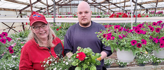 De har satt sin sista blomma – klassiska handelsträdgården säljs 