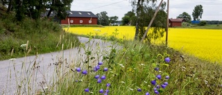 Samtal om landsbygden på Grinda Gårdsglass