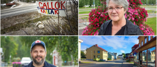 Gruvan och gröna vågen splittrar Jokkmokks politiker ✓ Partiernas viktigaste valfråga