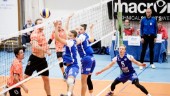 Tierp drar sig ur elitserien i volleyboll