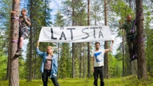 Aktivister tillbaka i omstridd skog • Den sista skogen ska inte avverkas"