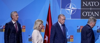 Natosamtal med Turkiet fortsätter i höst