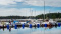 Båtägarna i Oxelösund har ingen rabatt