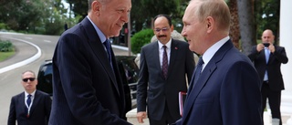 Putin och Erdogan lovar stärkt samarbete