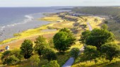 5 måsten på södra Gotland – häng med på roadtrip 