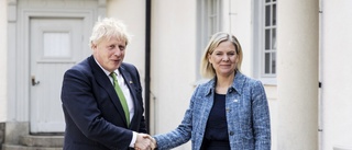 Boris Johnson utlovar stöd: "Ska ge Sverige vad som behövs"