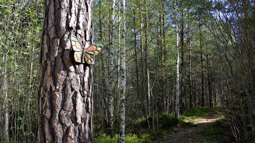 Är det verkligen klimatsmart att skövla skog mellan Västervik och Gunnebo för att få till en ny stadsdel? frågar sig debattörerna.