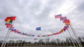 Nato: De behöver bara söka