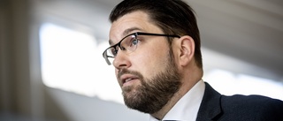 Åkesson vänder om Nato men partiet splittrat