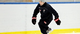 Flera förändringar på tränarsidan i Luleå Hockey