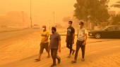 Över 5 000 till sjukhus efter sandstorm