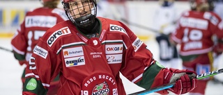 Efter guldet – här är Luleå Hockey/MSSK:s första värvning • En guldhjälte förlänger