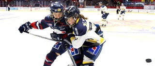 Avslöjar: Luleå Hockey jagar rivalens back