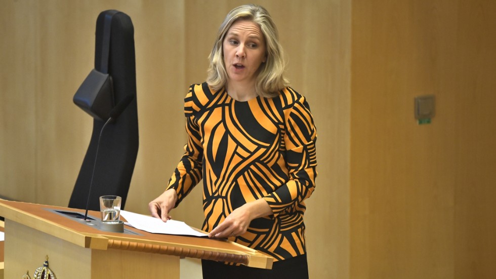 Här ser vi Karolina Skog i aktion vid förra höstens budgetdebatt i riksdagen. Som majoriteten ser ut i kammaren så var - som det visade sig - en del av budgetbesluten skrivna i sand.