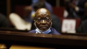 Zumas villkorsfrigivning väcker frågor