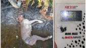Död hund hittad i vattnet – "Jag höll på att spy"