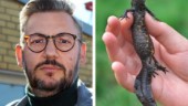 Bortglömd salamander upprör Demirok: "Vi kräver en utredning"