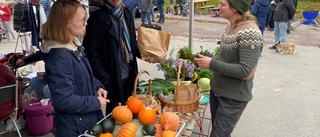 Luftlök och mycket grönt på marknaden i Tuna