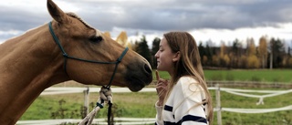 Drömstart i rikstävling för Edith från Piteå – siktar högt med hästen Nalle: "Han vill mitt allra bästa"