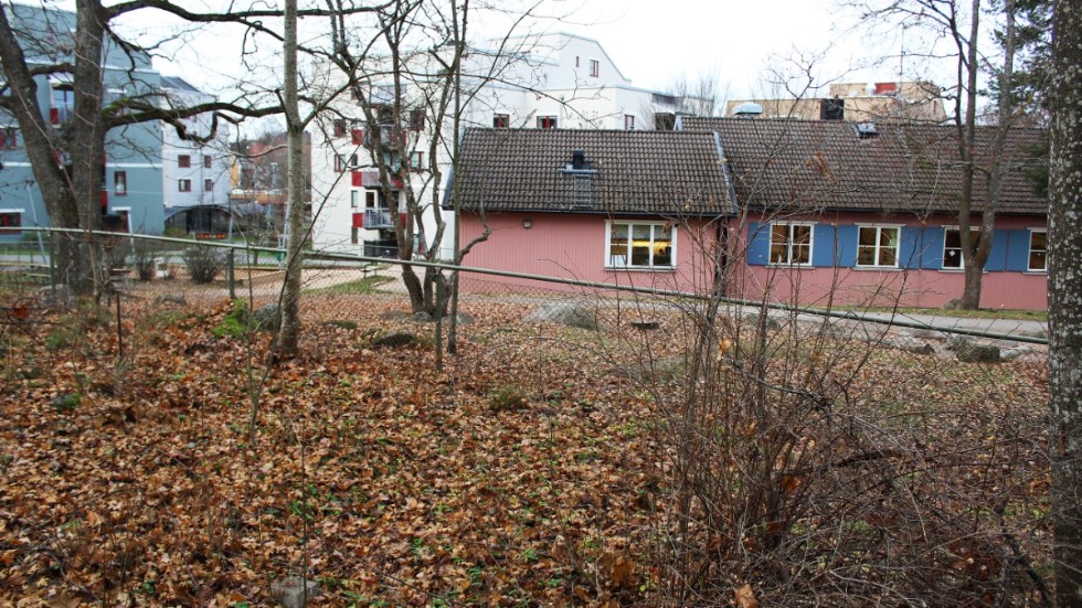 Här mellan Trädgårdsföreningen och Magistratshagen planeras studentbostäder.