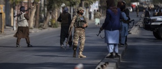 Högt uppsatt taliban dödad i attacken