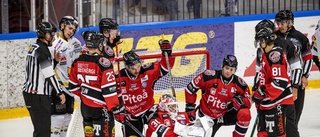 Femetta i baken för Piteå Hockey i historisk premiär: "Vi mötte ett bra lag ikväll"