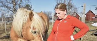 Plötsligt hade hennes häst försvunnit: "En sådan obehaglig känsla"